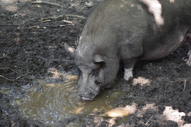 主帅于根伟 主帅于根伟