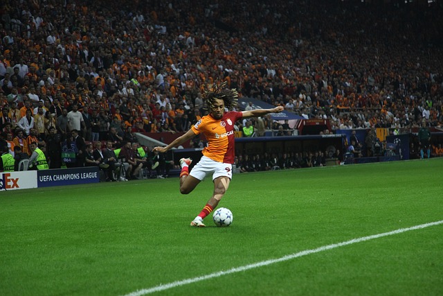 成为他们的 成为他们的