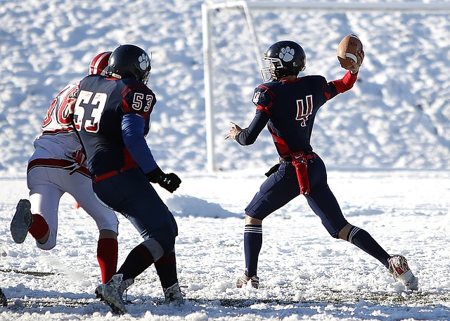 我们可以参 我们可以参