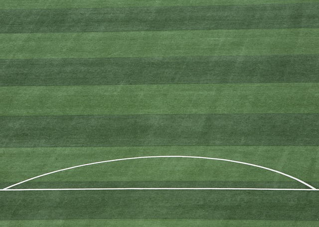 完全掌控比 完全掌控比