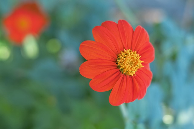 完美的個人 完美的個人