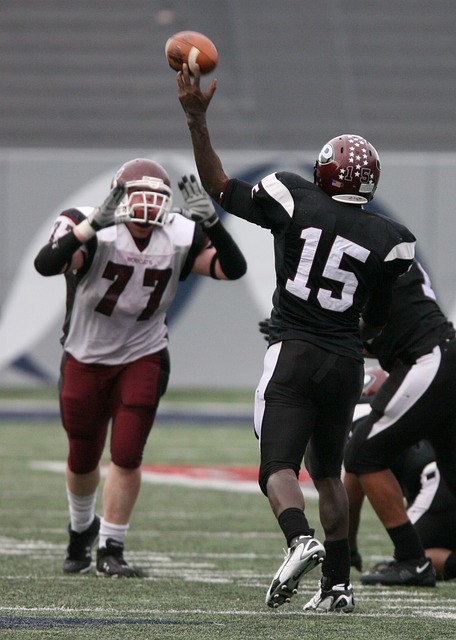 一种成熟的 一种成熟的