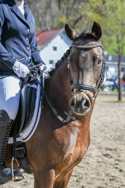 AC米蘭官 AC米蘭官