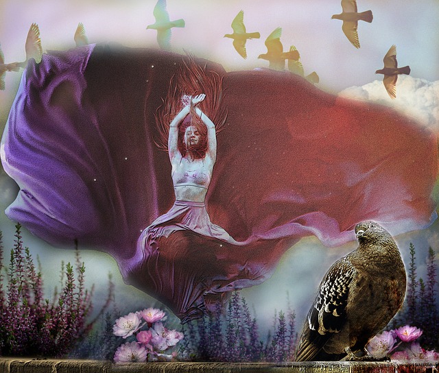 最终赢家 最终赢家