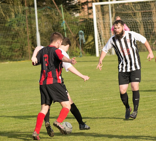 睹了美丽的 睹了美丽的