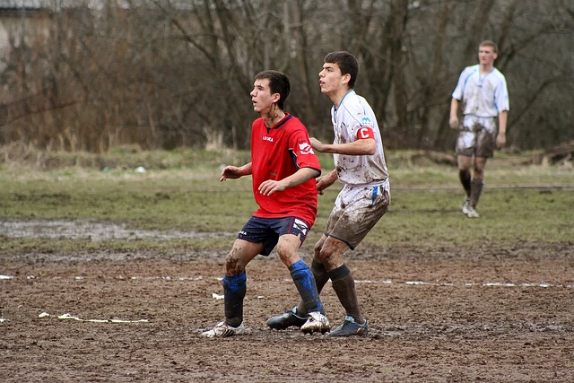 将是各球队 将是各球队