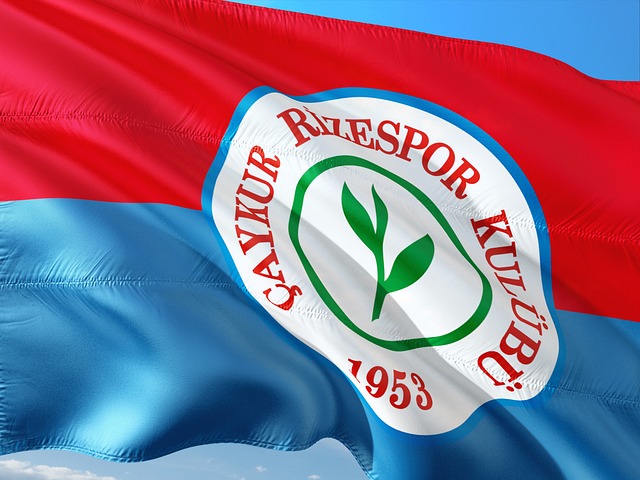 站位和篮板 站位和篮板